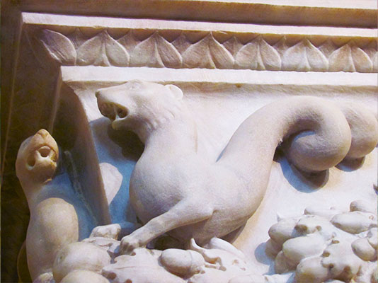 Laboratorio Alla scoperta degli animali nascosti - Dettaglio Drago